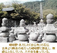 嵯峨野・あだしの「念仏寺」の石仏/古来より葬送の地だった嵯峨野に散乱し、無縁仏と化していた、八千体を奉っている。