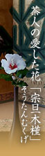 茶人の愛した花「宗旦木槿（そうたんむくげ）」